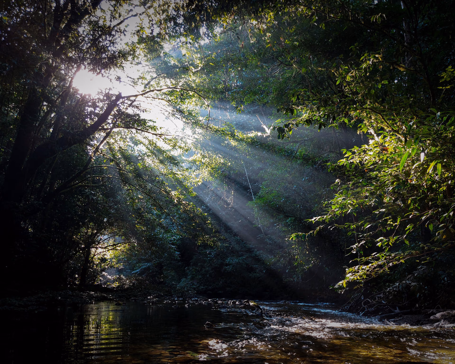 Raios de sol atravessando a mata e iluminando um rio na Amazônia